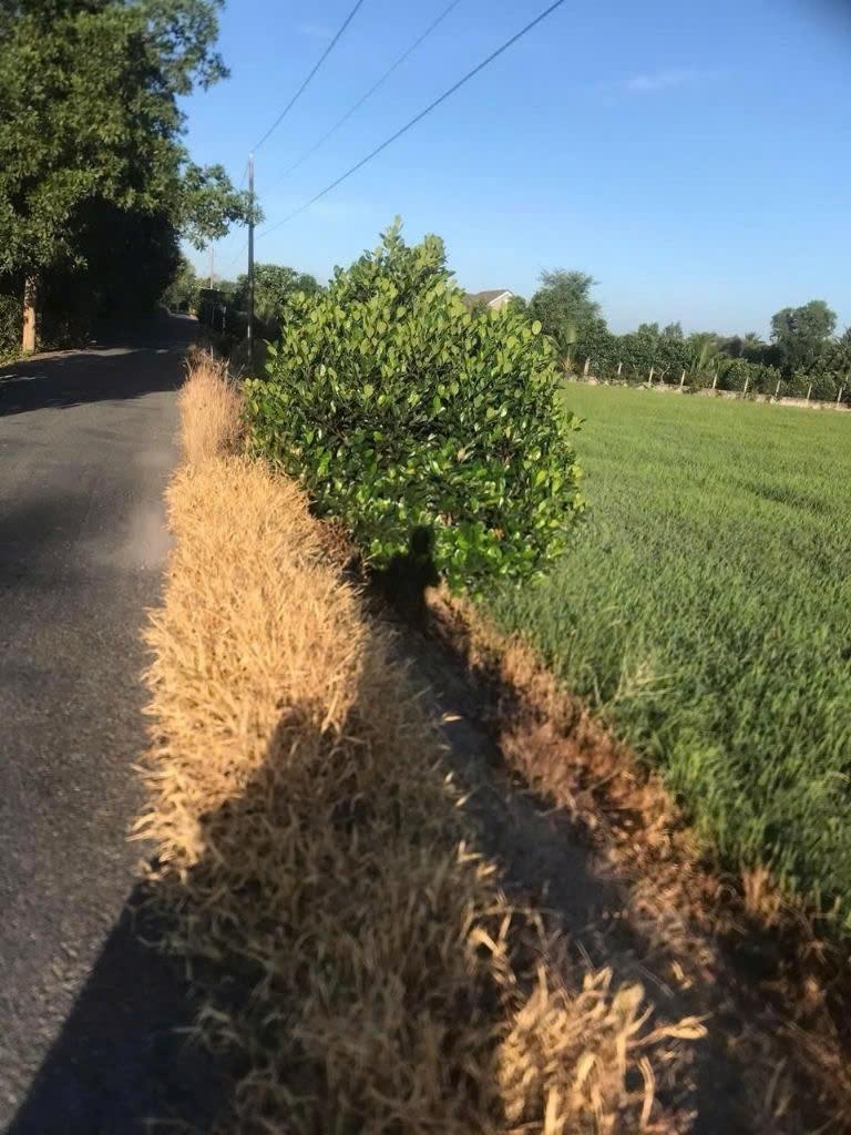 Cần bán lô đất 8000 m2 tại Đường Tỉnh lộ 865 - Hưng Thạnh - Tân Phước - Tiền Giang, giá 3,2 tỷ