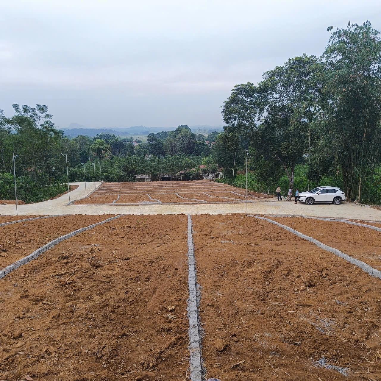 Cần bán gấp bán nhanh đất nền dự án 159 m2 tại Ngọc Lặc - Thanh Hóa, giá 286,2 triệu