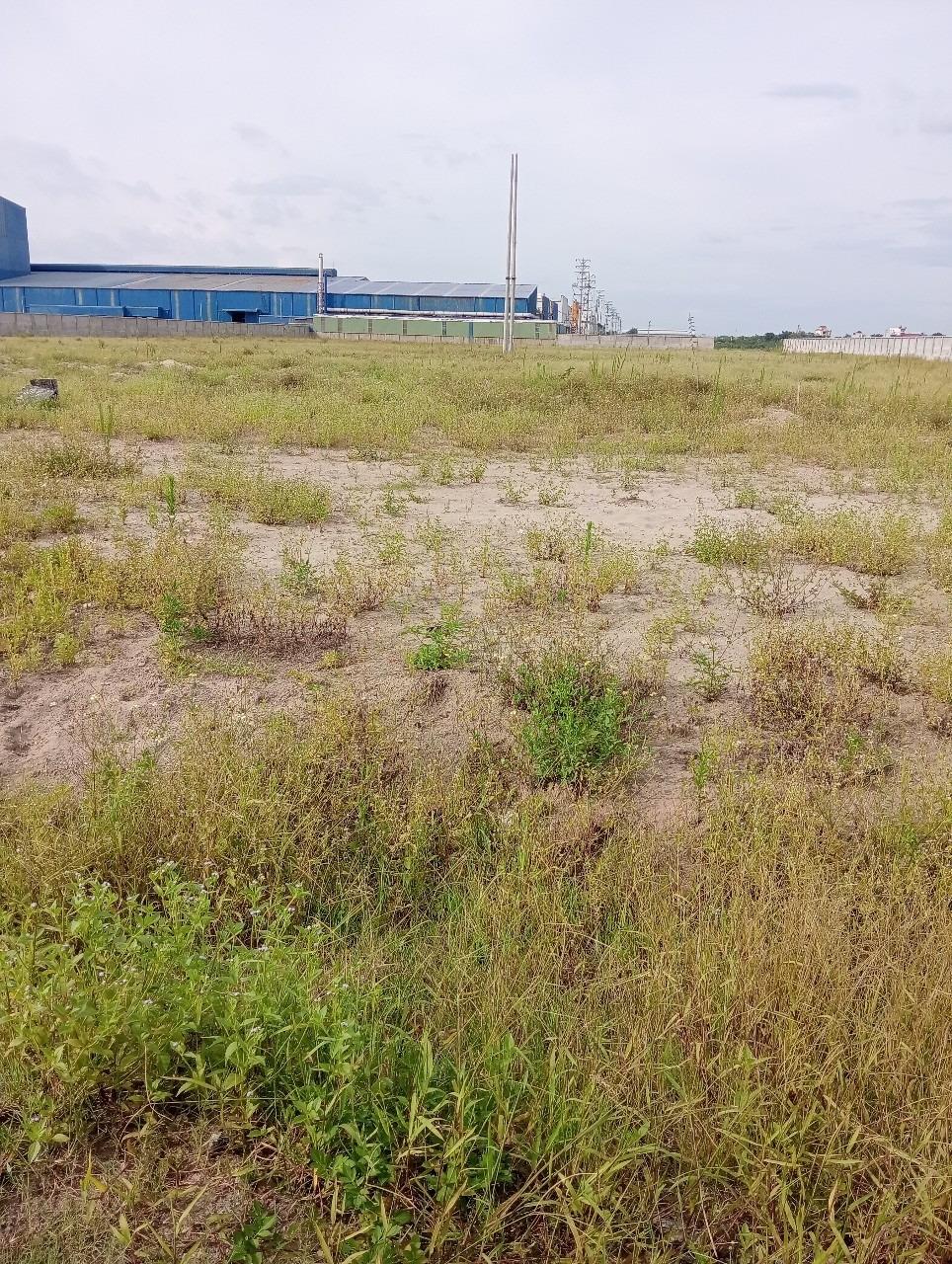 Cho thuê đất, nhà xưởng tại Ngọc Long. Yên Mỹ. Hưng Yên