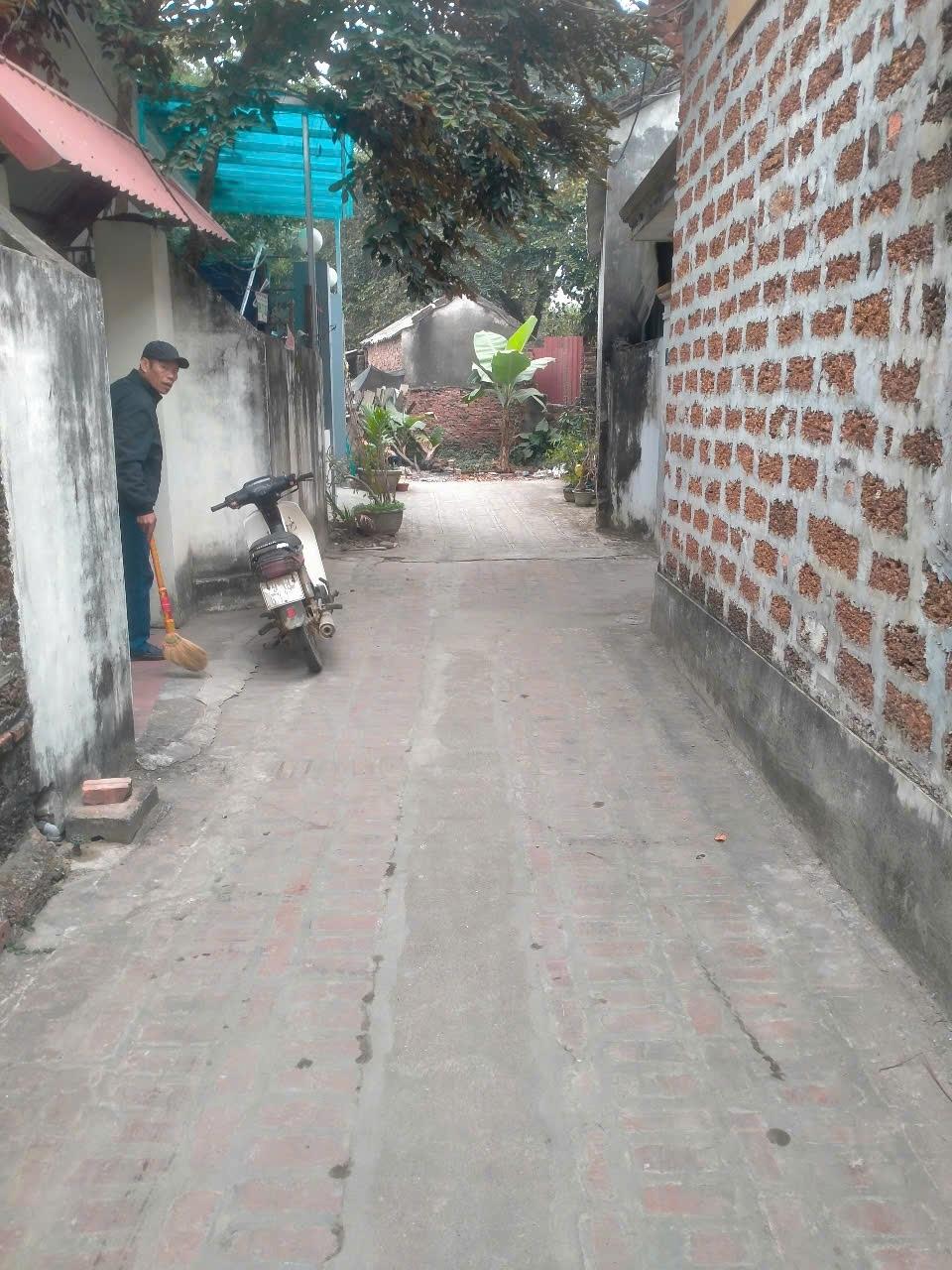 Cần bán gấp mảnh đất 322 m2, hướng Đông-Nam tại Xã Đường Lâm - Sơn Tây - Hà Nội, giá tốt - Ảnh 1