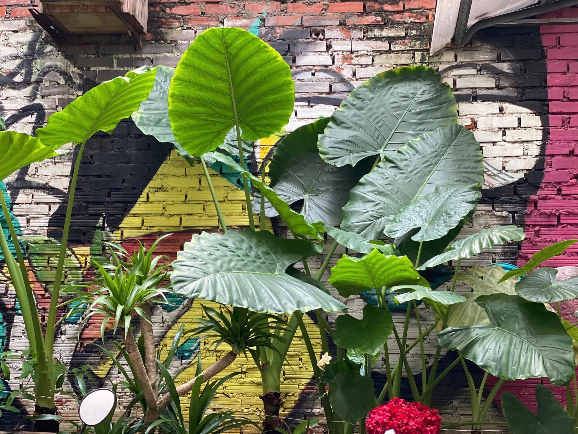 Cần bán gấp nhà sổ riêng 62 m2 tại Phố Đại La - Đồng Tâm - Hai Bà Trưng - Hà Nội, giá 11,9 tỷ