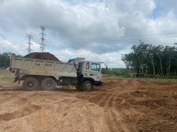 Cho thuê đất trống CLN tại Xã An Long, Tp. Hồ Chí Minh giá 20tr DT 4,5 ha