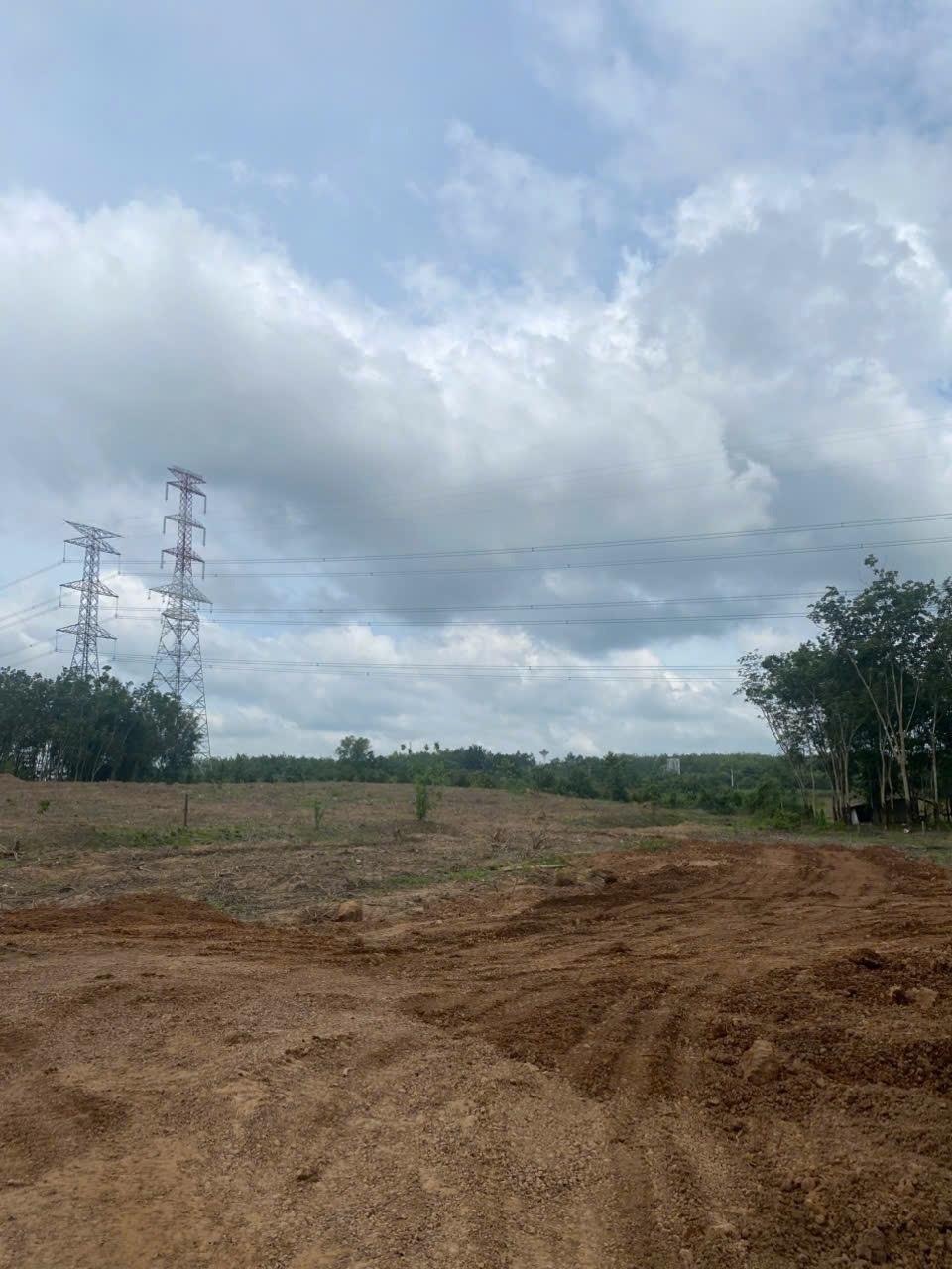 Cho thuê  4,5 đất trống tiện SXKD chế biến gỗ, CNN xả thải tại Xã An Long, Tp.HCM giá 20tr