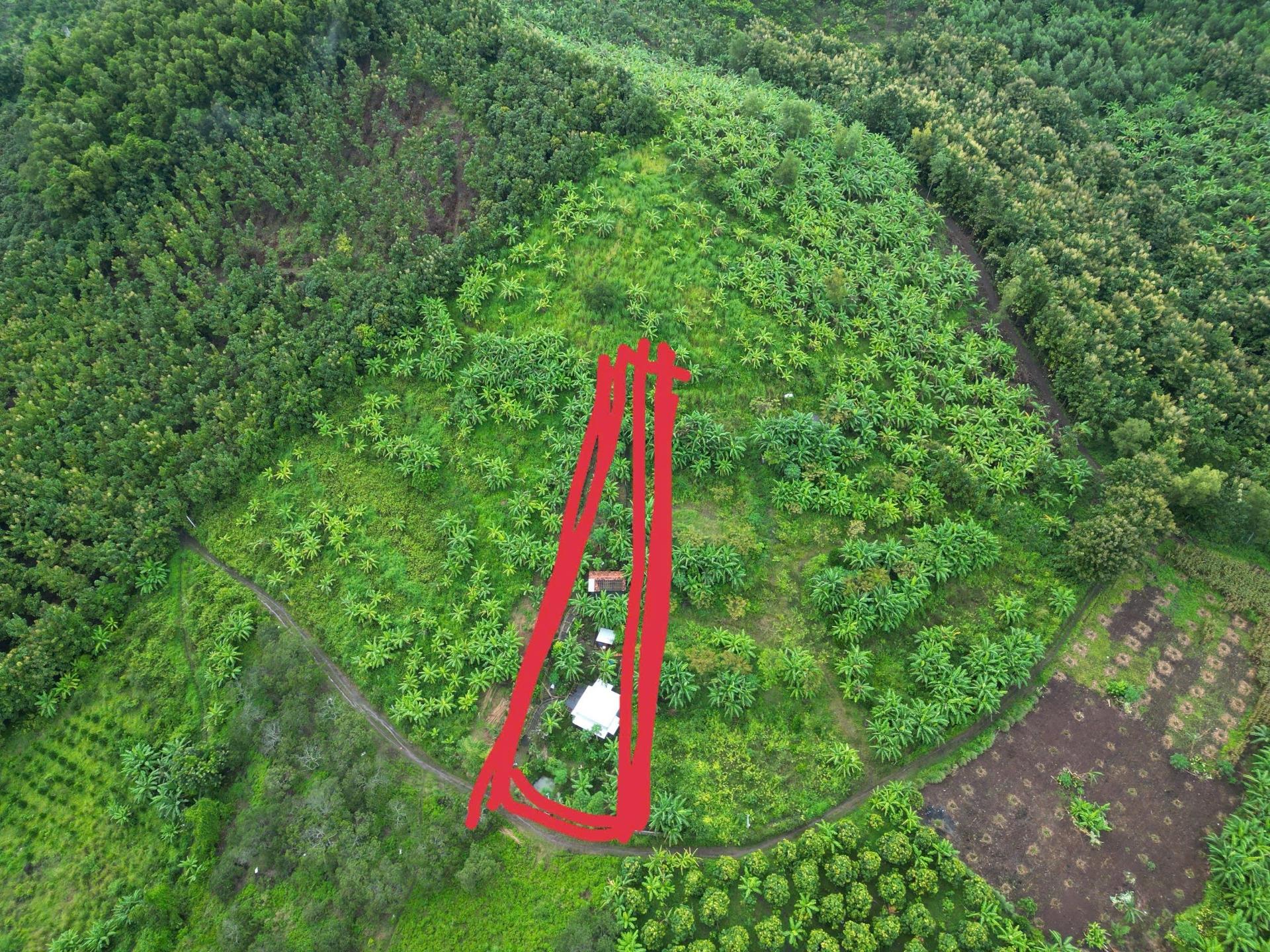 Bán nhanh miếng đất 1000 m2, hướng Đông tại La Ngà - Định Quán - Đồng Nai, giá 1,27 tỷ