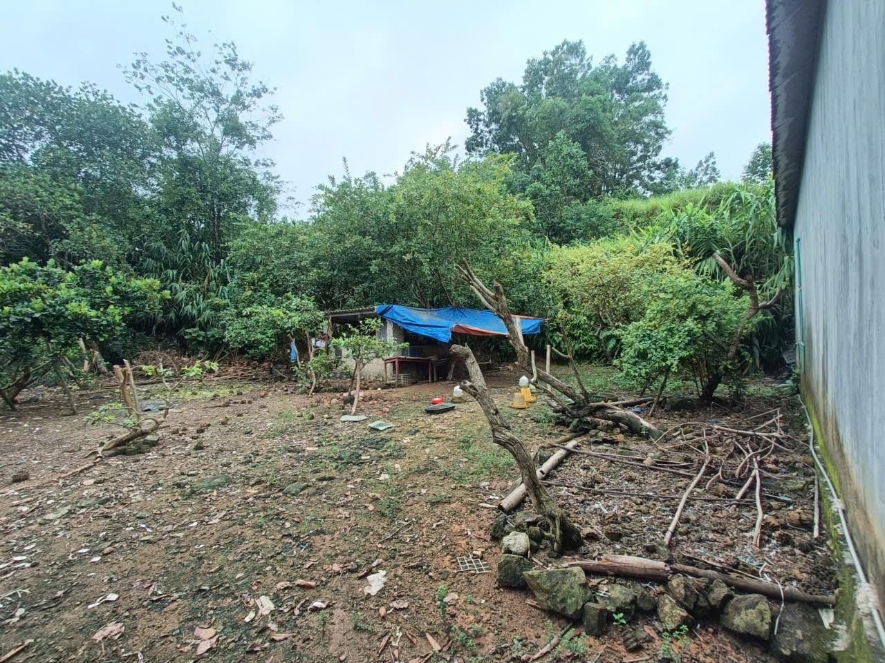 Sở hữu ngay lô đất sổ riêng 931 m2, hướng Tây-Bắc tại Đà Bắc - Hòa Bình, giá 9 tỷ