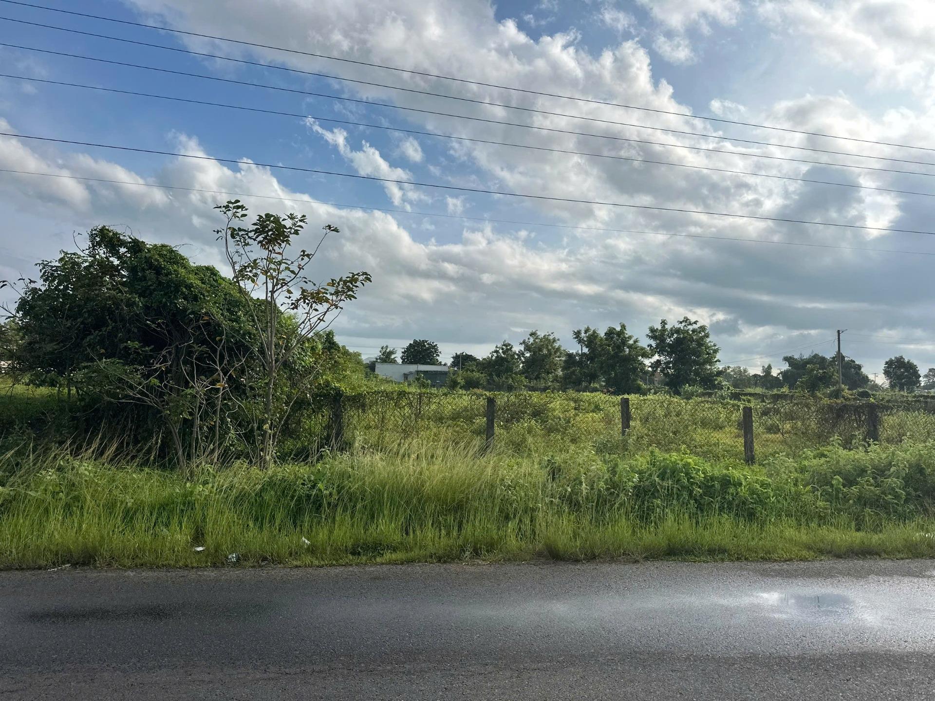 Cần bán ngay lô đất sổ riêng 951 m2, hướng Tây-Nam tại Tân Tiến - La Gi - Bình Thuận, giá 11 tỷ