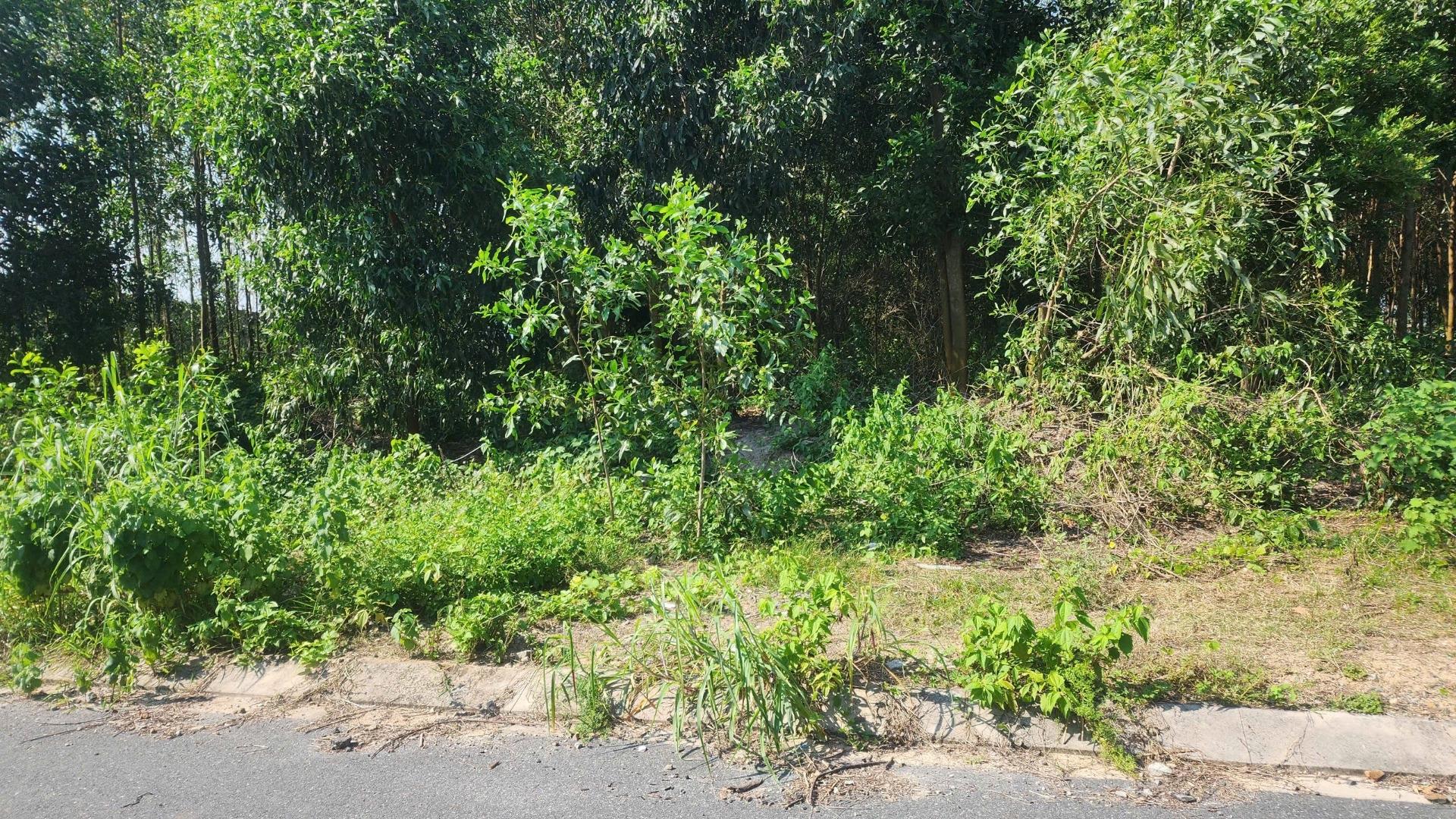 Cần bán nhanh lô đất nền 897 m2, hướng Tây-Nam tại Phường Tân An - La Gi - Bình Thuận, giá 3,6 tỷ