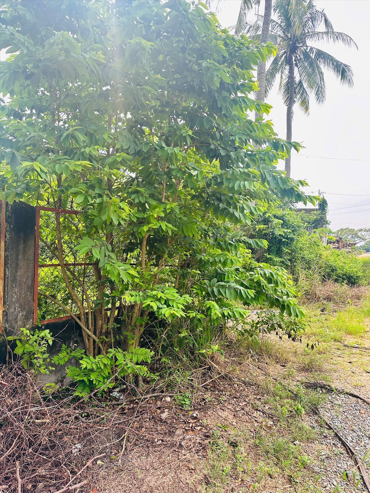 Chuyển nhượng mảnh đất 571 m2 tại Phường Tân An - La Gi - Bình Thuận, giá 2,7 tỷ