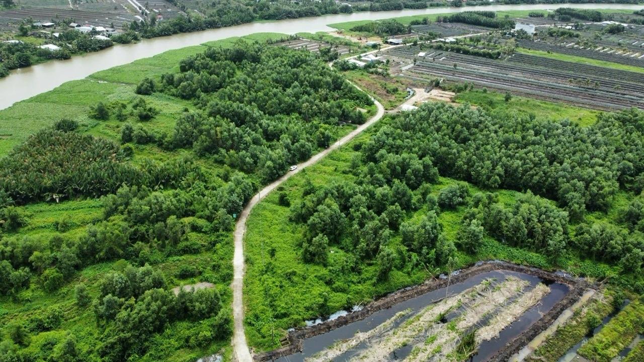 Bán gấp đất 1000 m2, hướng Đông-Nam tại Xã Vĩnh Viễn A - Long Mỹ - Hậu Giang, giá 175 triệu