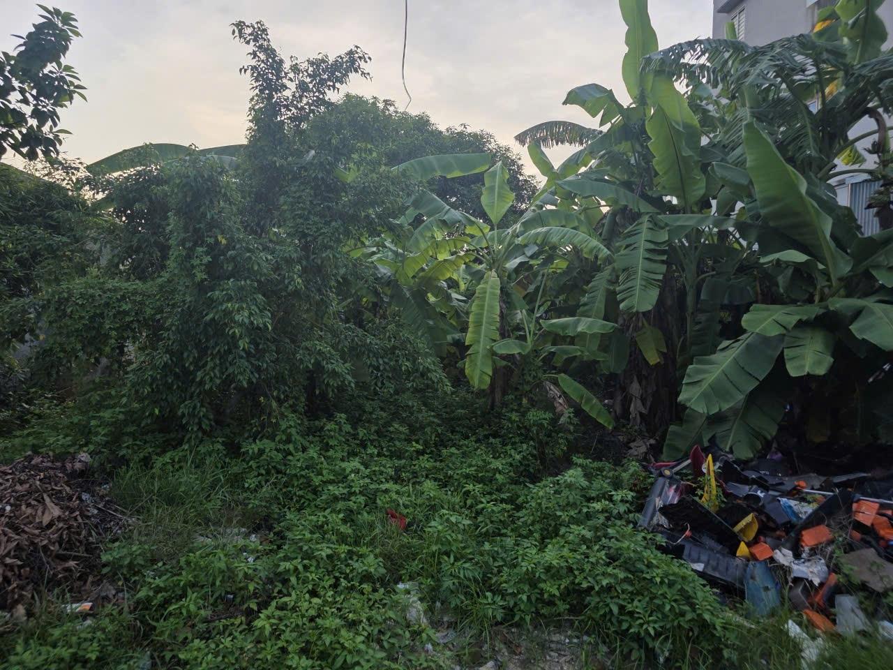 Sở hữu lô đất 337 m2 tại Xã Liêm Thuận - Thanh Liêm - Hà Nam, giá 13,65 tỷ