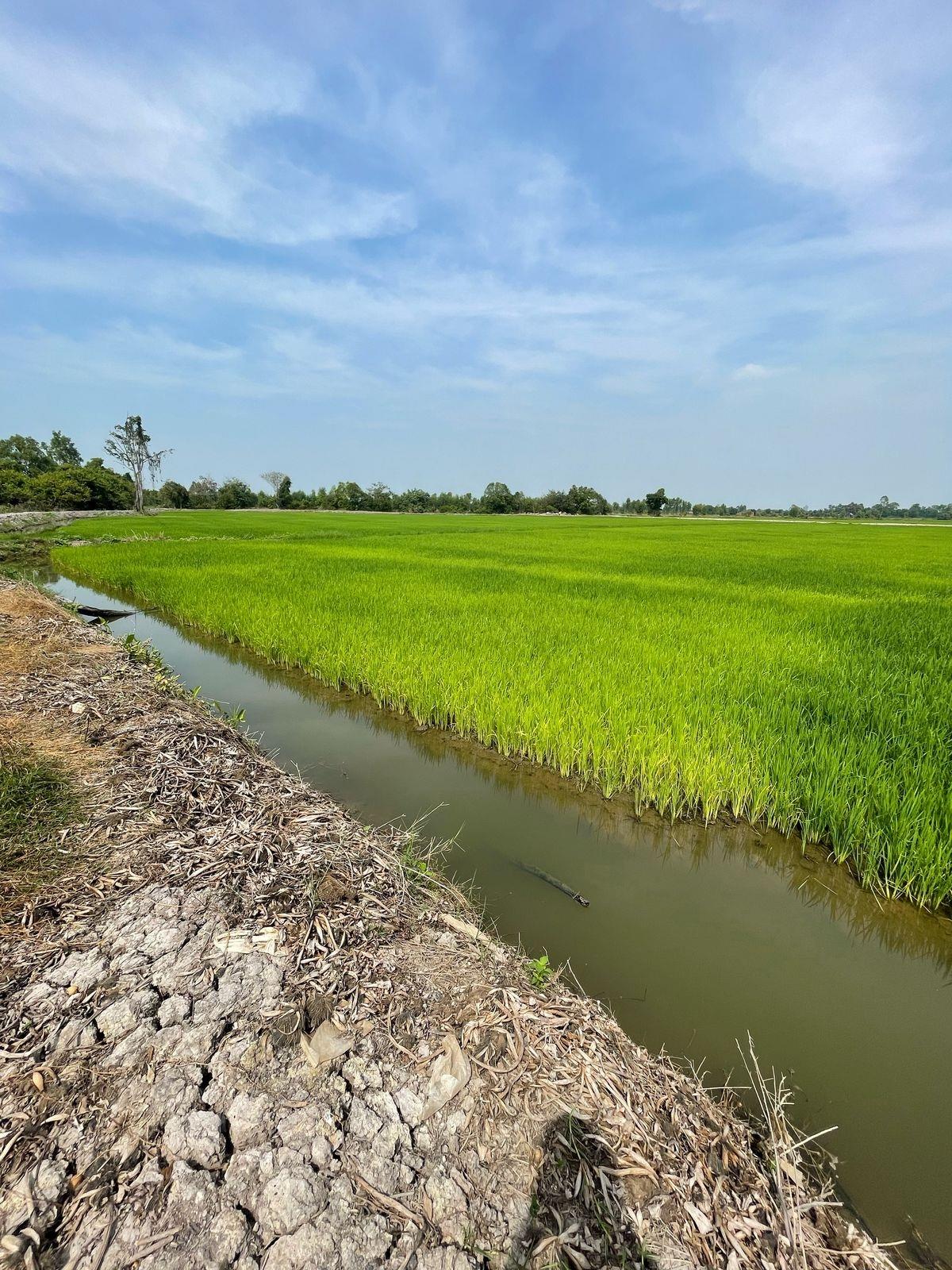 Cần bán ngay mảnh đất 6094 m2 tại Xã Hoà Khánh Nam - Đức Hòa - Long An, giá 6 tỷ