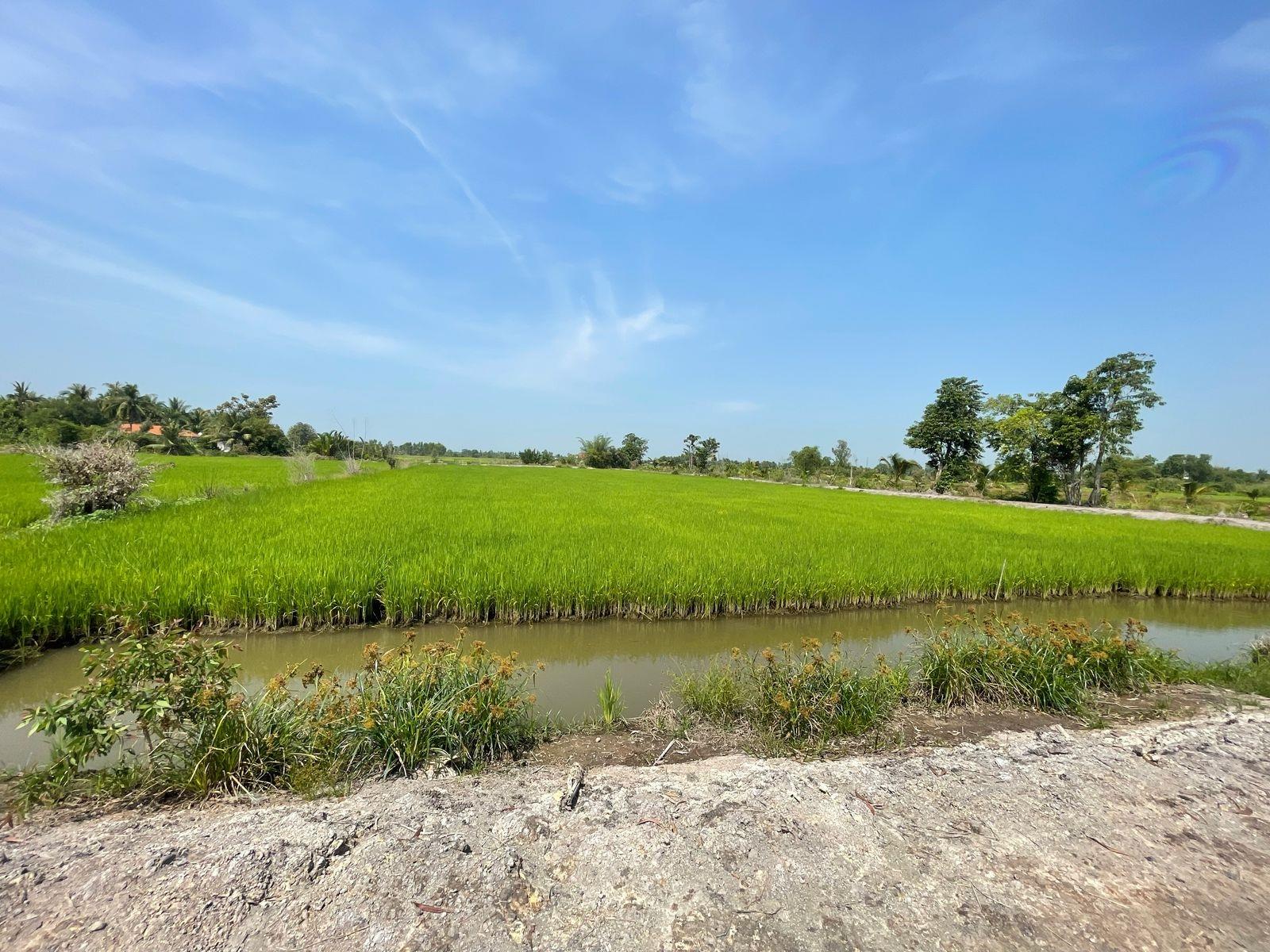 Cần bán ngay mảnh đất 6094 m2 tại Xã Hoà Khánh Nam - Đức Hòa - Long An, giá 6 tỷ - Ảnh 1