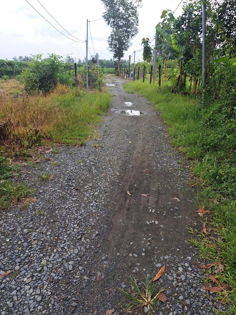 Cần bán gấp bán nhanh mảnh đất 14500 m2 tại Xã Xuân Thành - Xuân Lộc - Đồng Nai, giá 5,8 tỷ