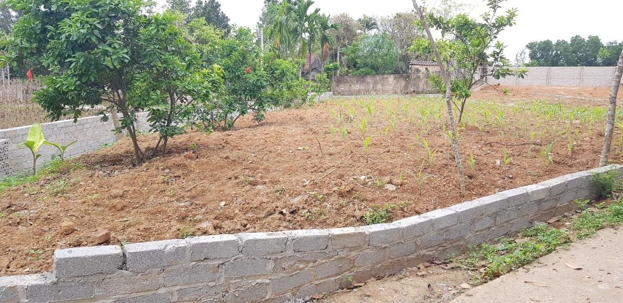 Bán căn nhà riêng 433 m2 tại Thị trấn Hữu Lũng - Hữu Lũng - Lạng Sơn, giá 3,85 tỷ