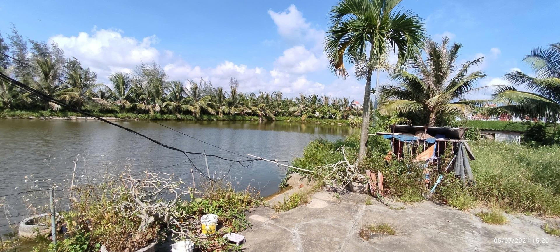 Bán lô đất nền 5051 m2, hướng Tây-Nam tại Xã Đại Hợp - Kiến Thụy - Hải Phòng, giá 10,1 tỷ