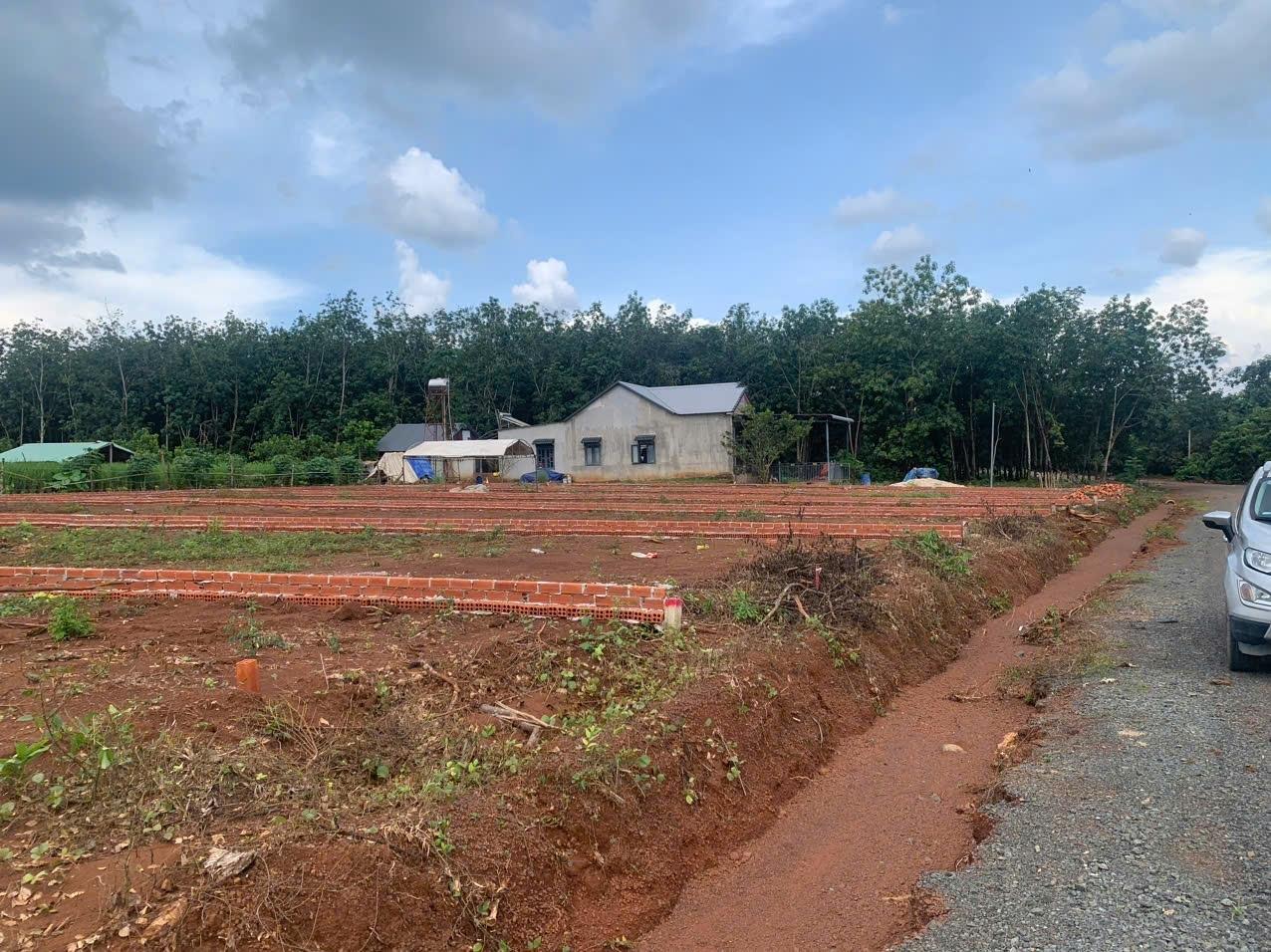 Cần bán gấp bán nhanh lô đất nền 370 m2 tại Xã Long Hà - Phú Riềng - Bình Phước, giá 250 triệu