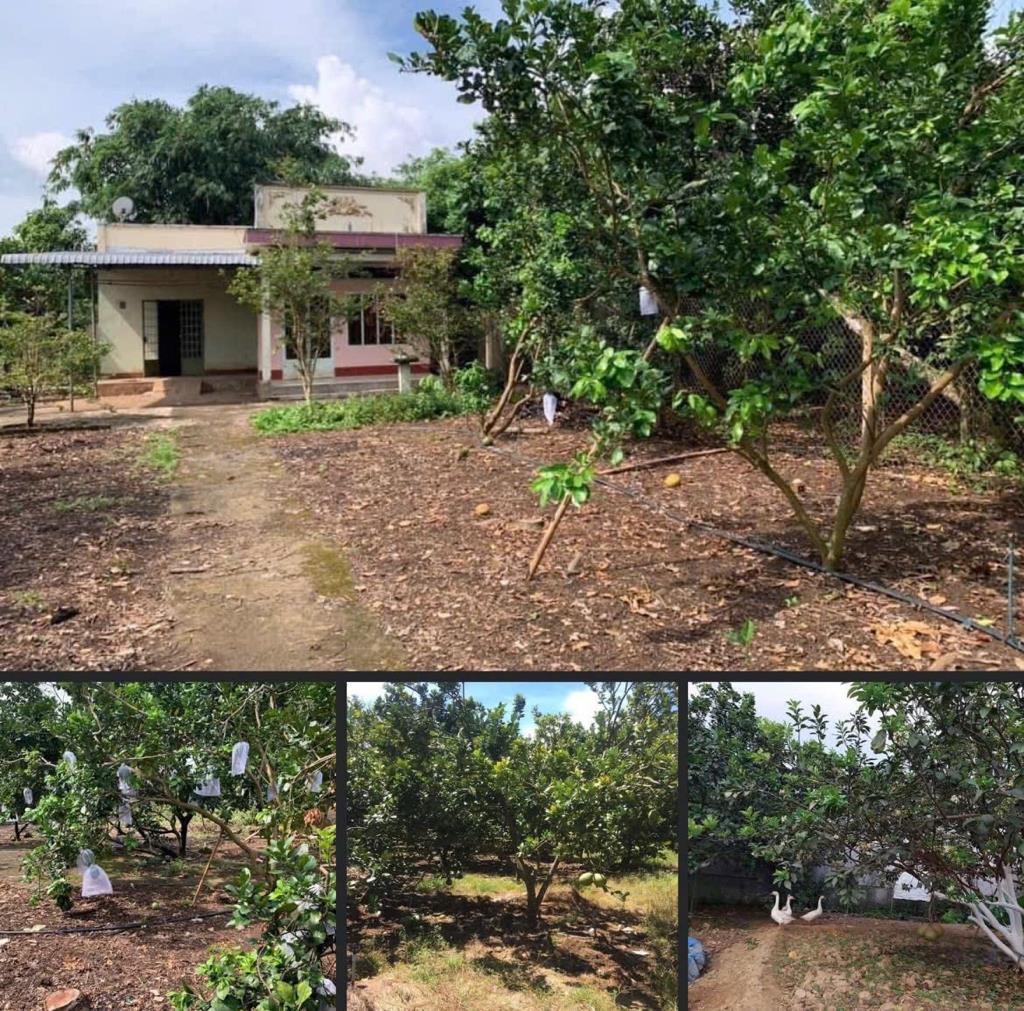 Bán miếng đất 1100 m2 tại Quận Tân Phú - Đồng Nai, giá 500 triệu