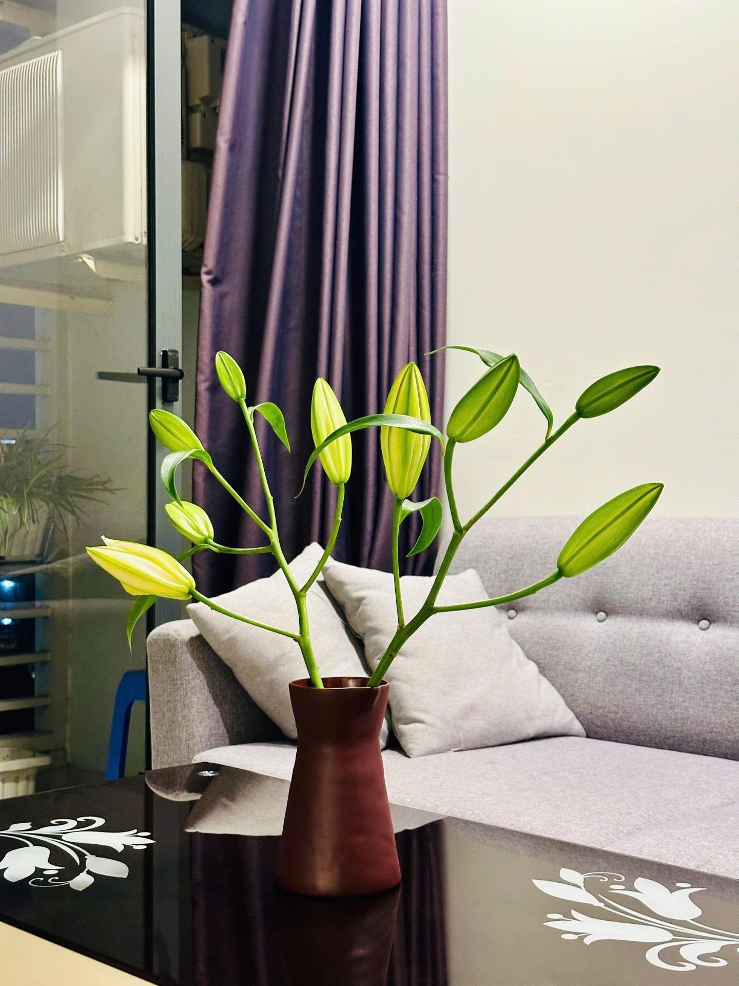 Thuê ngay căn hộ 55 m2 tại Đường Nguyễn Tất Thành - Quận 4 - TP Hồ Chí Minh, giá 13 triệu/tháng