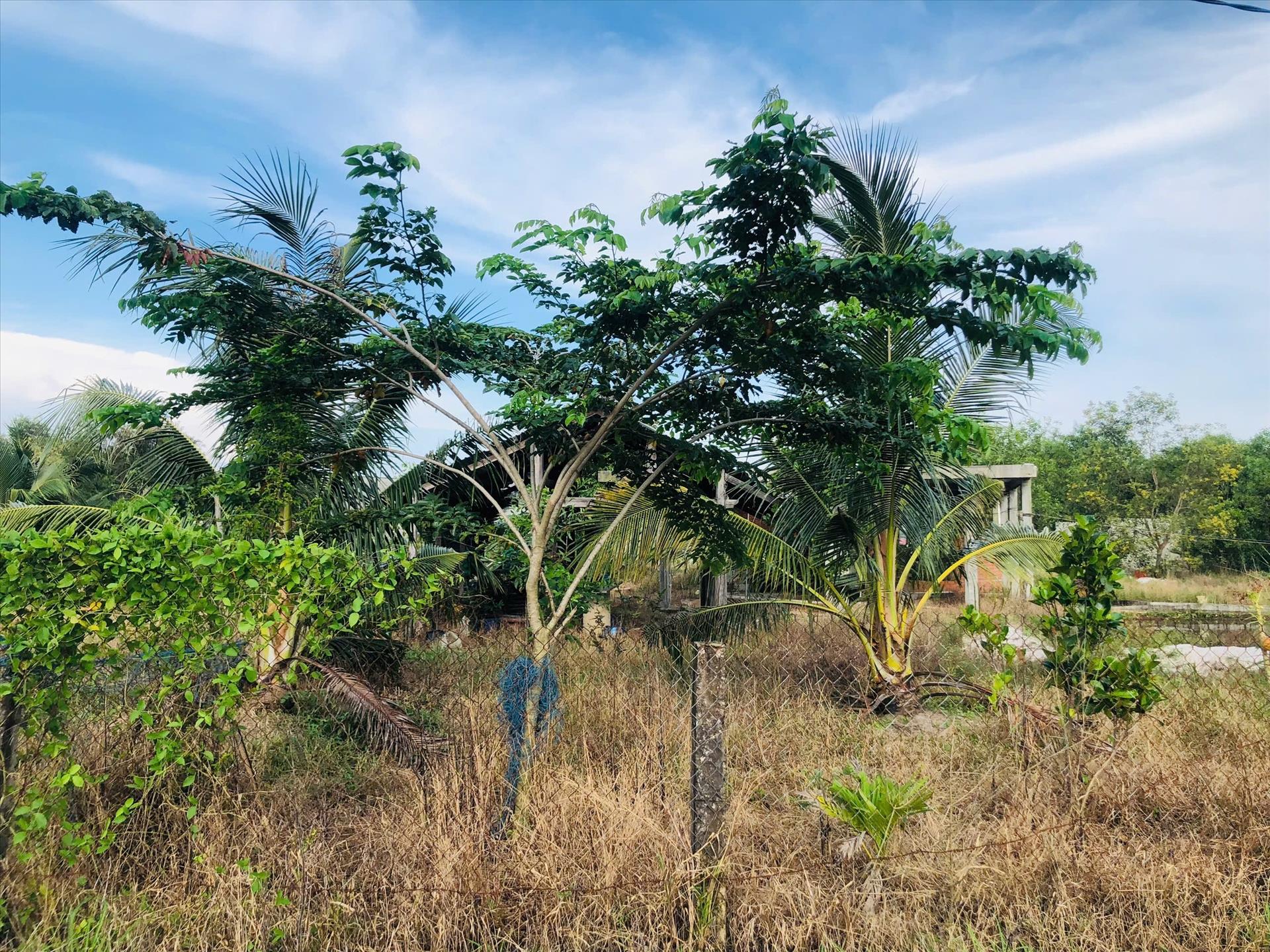 Cần bán gấp bán nhanh đất nền 3891 m2 tại Xã Tân Bình - La Gi - Bình Thuận, giá 5,5 tỷ