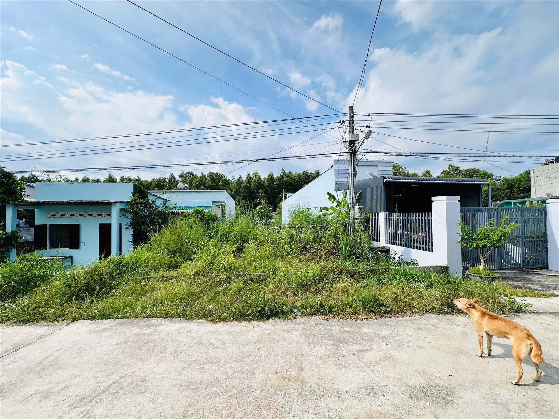 Bán đất 186 m2 tại Phố Lý Thường Kiệt - Tân An - La Gi - Bình Thuận, giá 1,2 tỷ