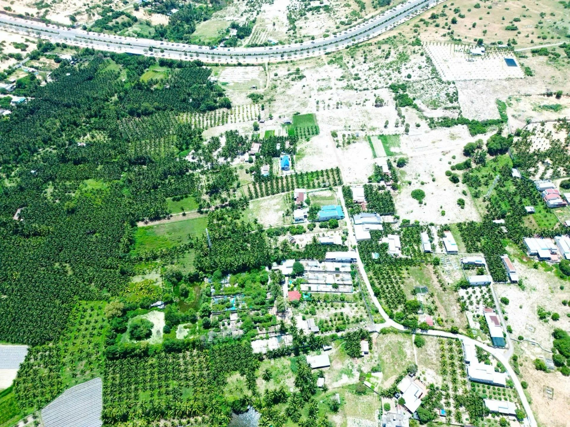 Cần bán nhanh đất nền 1000 m2 tại Thiện Nghiệp - Phan Thiết - Bình Thuận, giá tốt