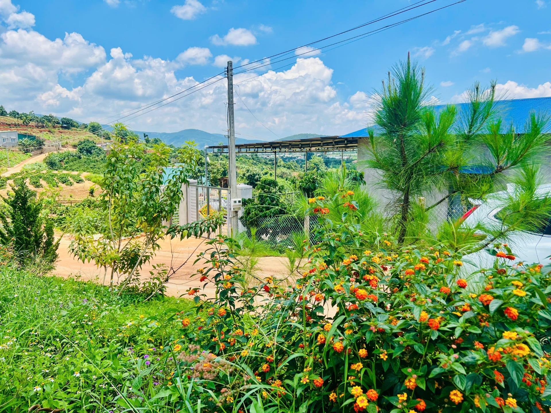 Bán nhanh miếng đất 196 m2 tại Thị trấn Nam Ban - Lâm Hà - Lâm Đồng, giá 660 triệu