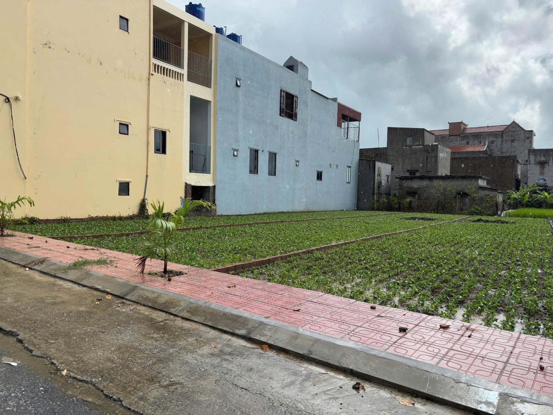 Cần bán nhanh miếng đất 80 m2 tại Thị trấn Quất Lâm - Giao Thủy - Nam Định, giá 1 tỷ