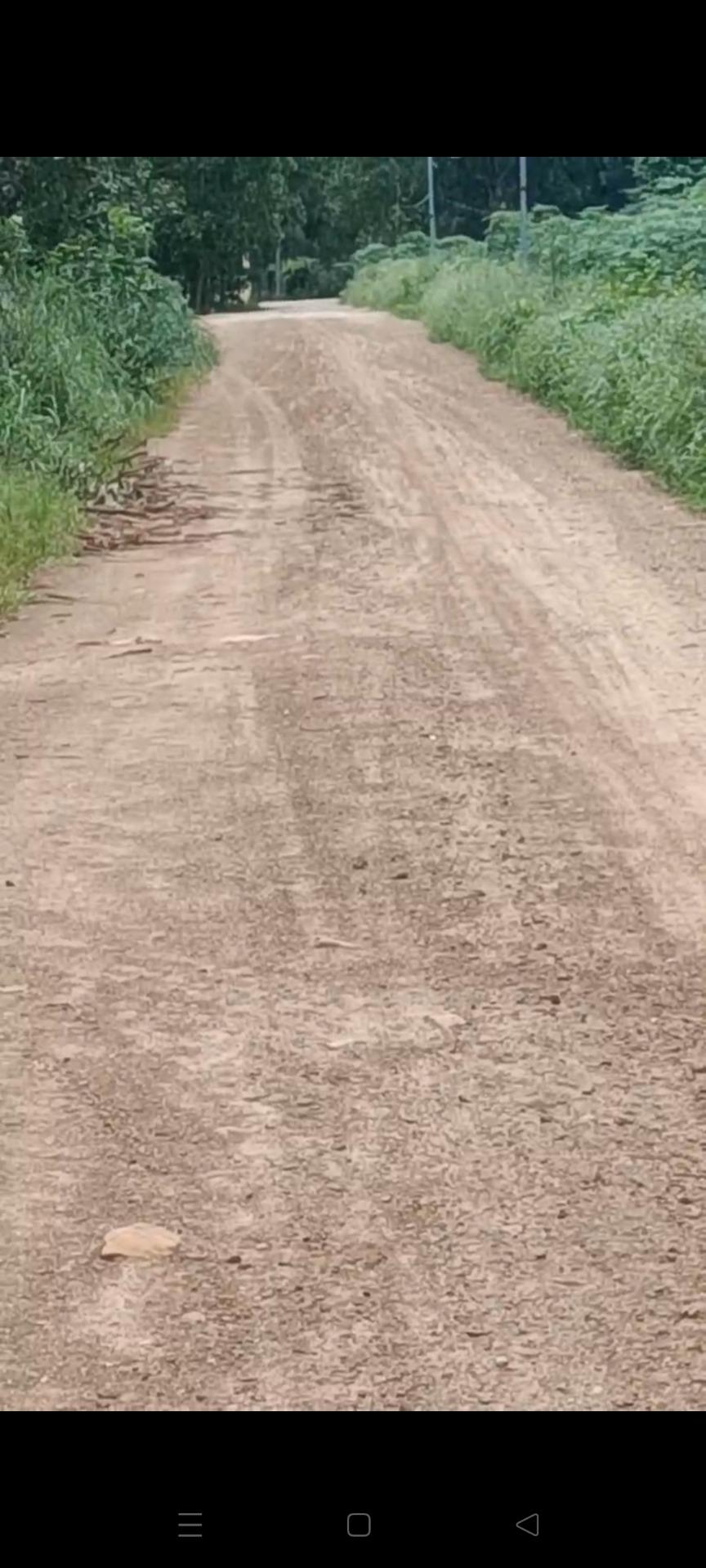 Bán gấp nền đất 2500 m2, hướng Bắc tại Xã Tân Đức - Hàm Tân - Bình Thuận, giá 2 tỷ