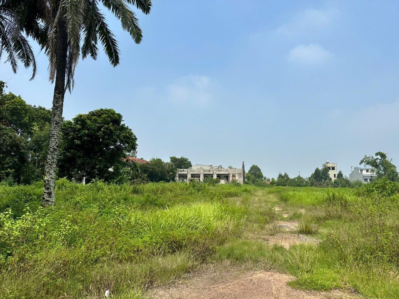 Bán hơn 4ha đất công nghiệp tại TP Bắc Giang. Sẵn giấy phép XD