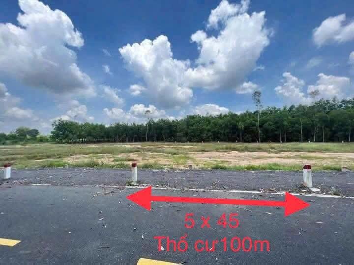 Sở hữu ngay lô đất sổ riêng 225 m2, hướng Tây tại Hớn Quản - Bình Phước, giá 1,5 triệu