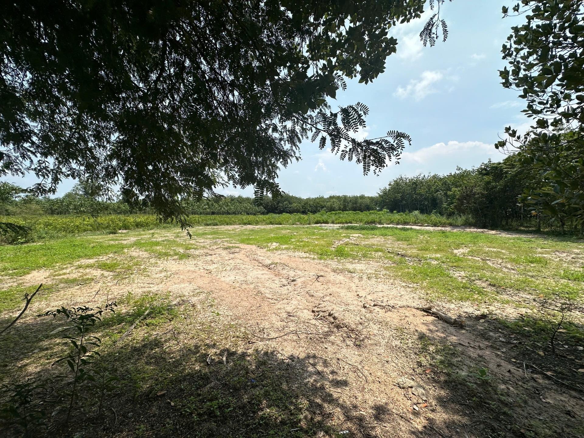 Chuyển nhượng mảnh đất 30000 m2 tại Huyện Dầu Tiếng - Bình Dương, giá 30 tỷ