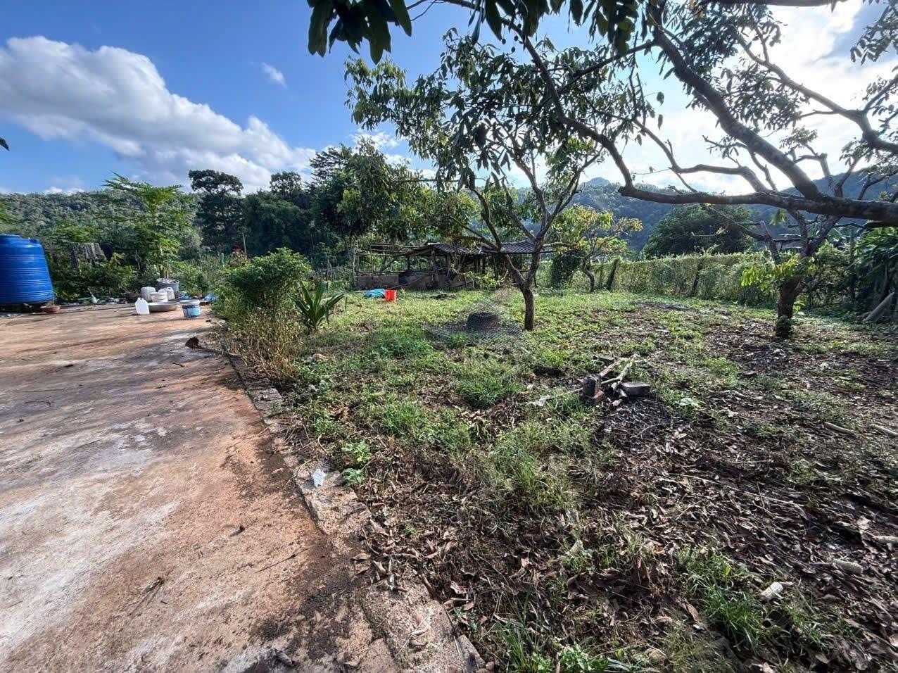 mặt tiền rộng, view siêu đẹp, có sẵn nhà sàn nằm trong khu du lịch cộng đồng