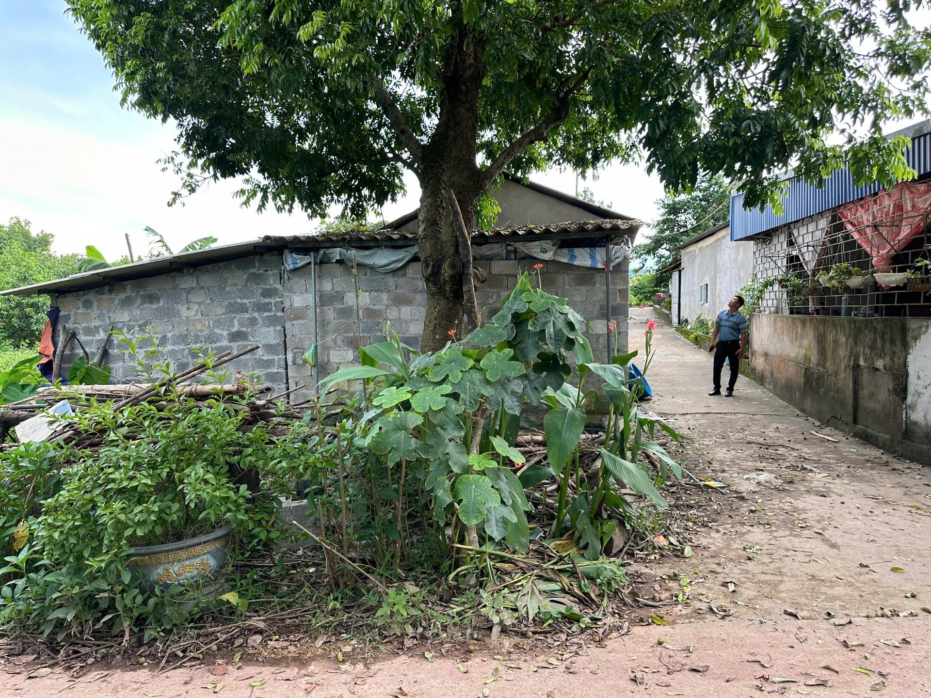 Bán gấp lô đất nền 271 m2 tại Đường Phúc Trìu - Phúc Trìu - Thái Nguyên - Thái Nguyên, giá 1,15 tỷ