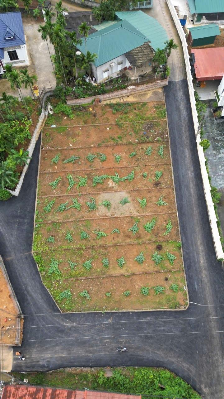 Cần bán nhanh nền đất 107,69999694824219 m2 tại Thành phố Hòa Bình - Hòa Bình, giá 700 triệu