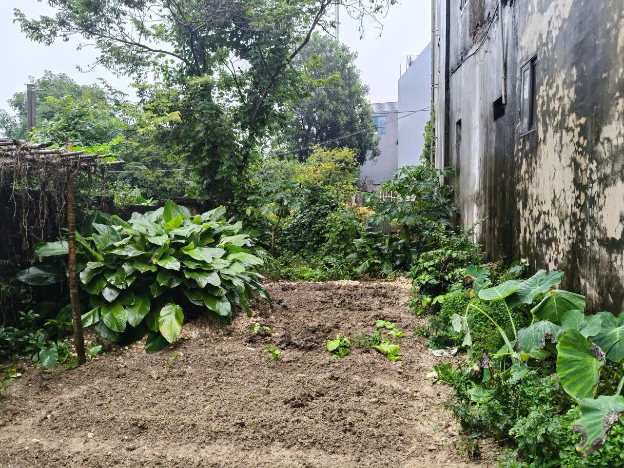 Bán nền đất 159 m2 tại Đường ĐT76 - Đồng Tâm - Mỹ Đức - Hà Nội, giá 3,3 tỷ