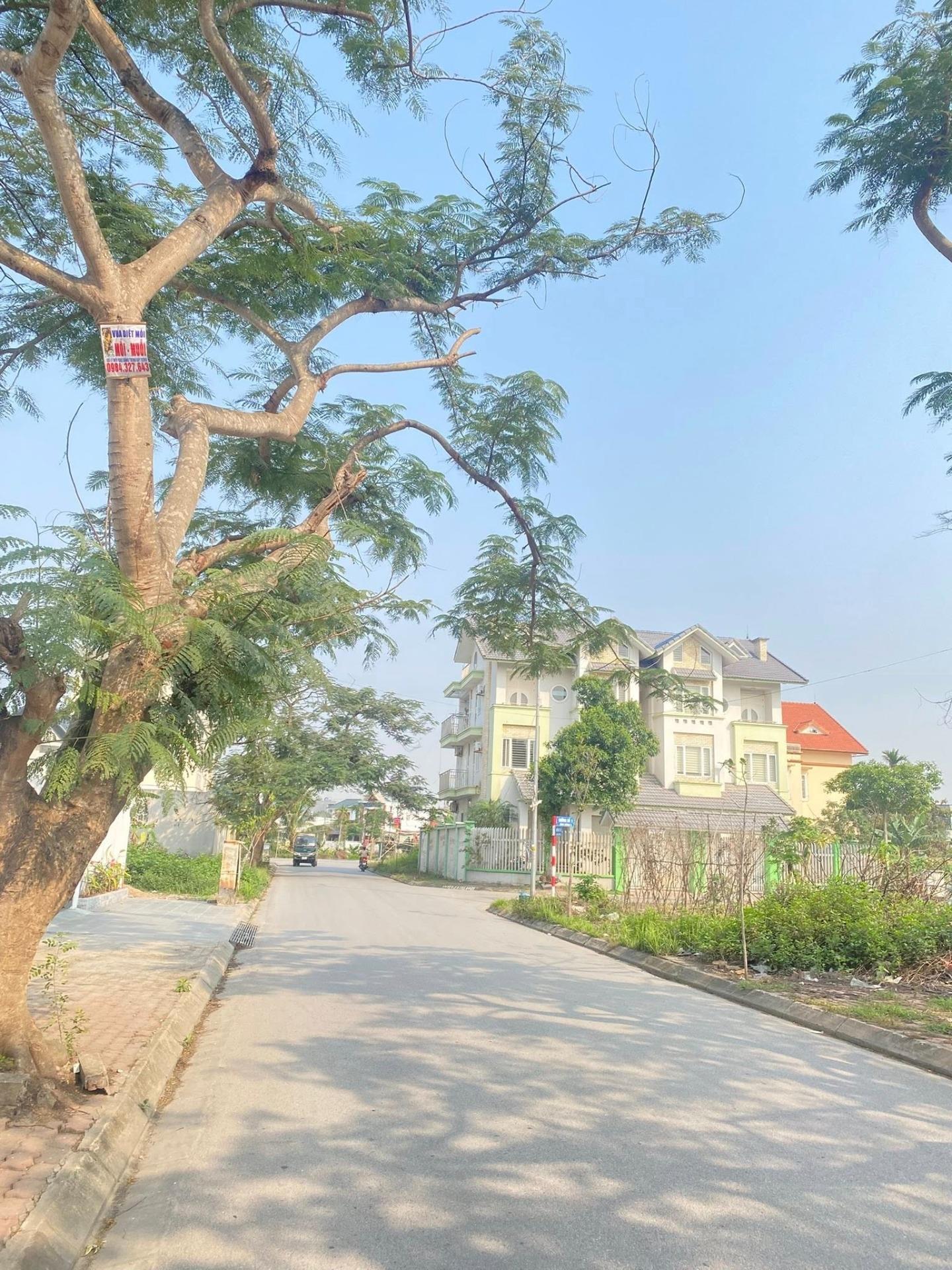 Bán lô đất nền 200 m2, hướng Đông-Nam tại Phường Anh Dũng - Dương Kinh - Hải Phòng, giá 6,2 tỷ