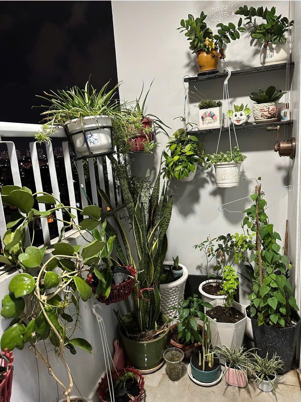 Cần bán nhà chung cư 58 m2, giá 2,6 tỷ tại Đường Bình Thới - 14 - Quận 11 - TP Hồ Chí Minh