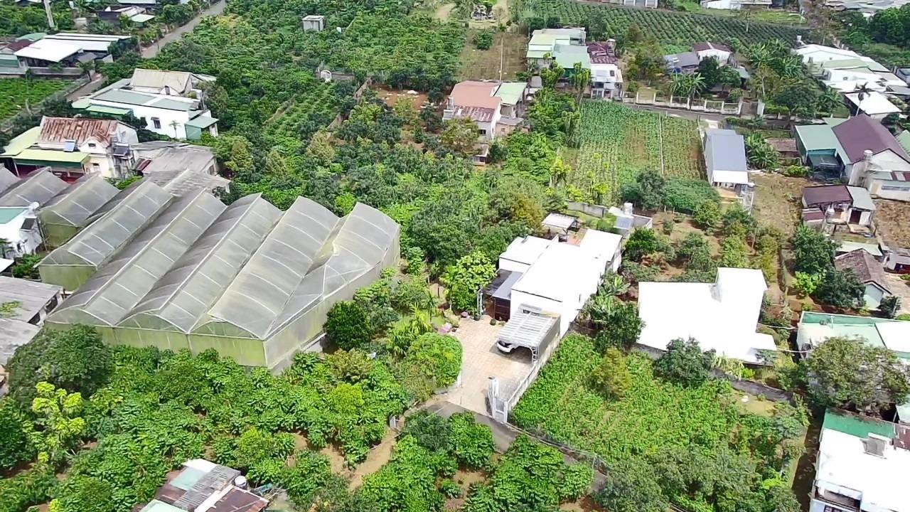 Cần bán nhà shr 1000 m2 tại Phường 2 - Bảo Lộc - Lâm Đồng, giá 8,6 tỷ