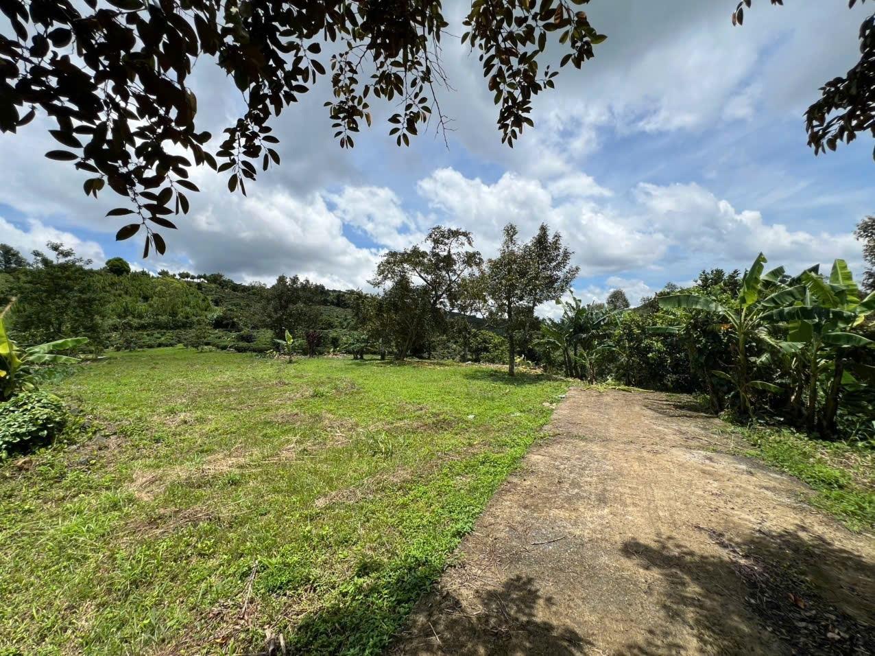 Cần bán gấp đất 3700 m2 tại Đường B'Lao Xê Rê - Đại Lào - Bảo Lộc - Lâm Đồng, giá 5,5 tỷ