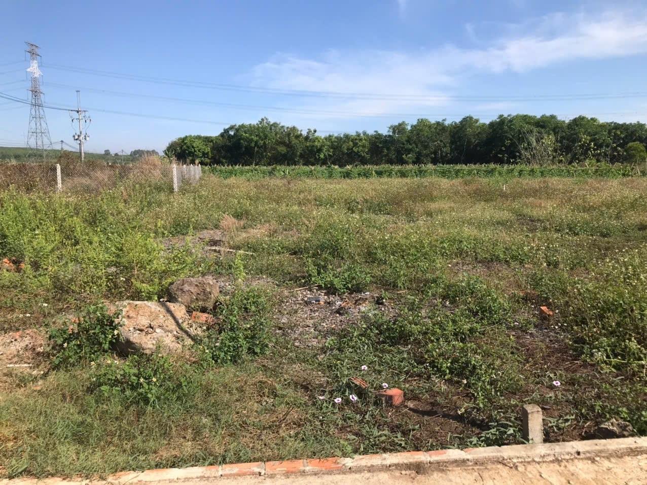 Chuyển nhượng đất dự án 100 m2, hướng Tây tại Xã Gia Tân 2 - Thống Nhất - Đồng Nai, giá 579 tr