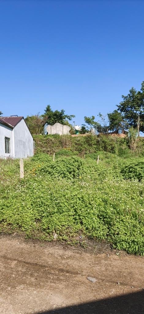 Cần bán lô đất nền 138 m2, mặt tiền 5m, hướng Tây-Nam tại Đức Trọng - Lâm Đồng, giá 650 triệu