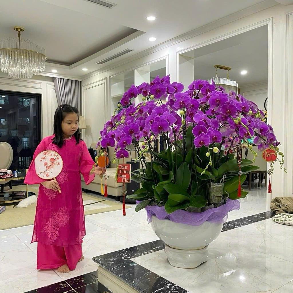 Chuyển nhượng căn hộ 162 m2, giá 15,5 tỷ tại Đường Hồ Tùng Mậu - Phú Diễn - Bắc Từ Liêm - Hà Nội