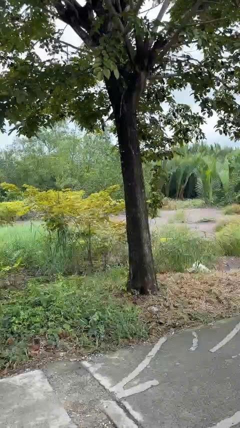 Sở hữu ngay lô đất nền 960 m2 tại Hiệp Phước - Nhà Bè - TP Hồ Chí Minh, giá 7,6 tỷ