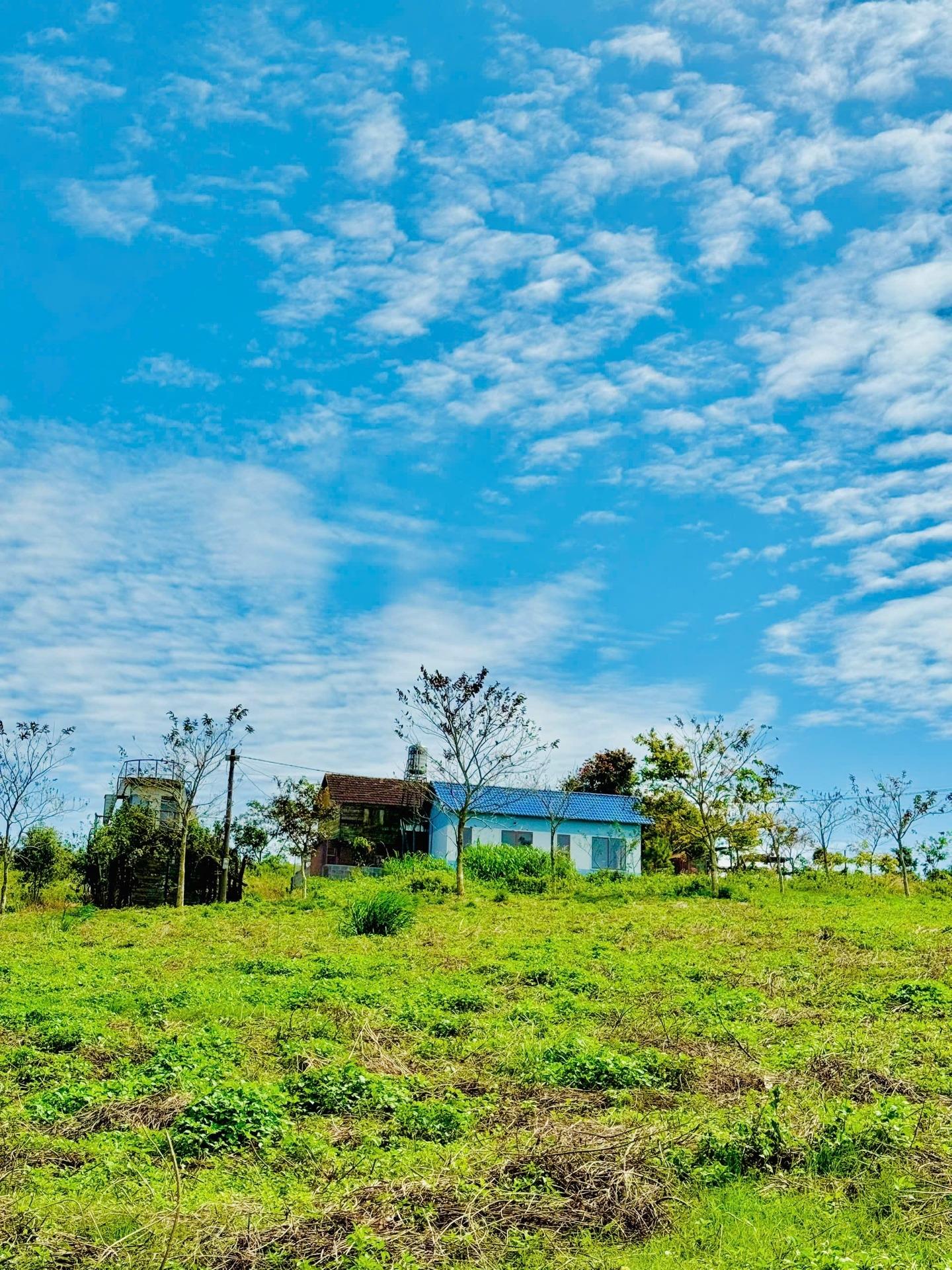 Bán gấp nền đất 125 m2, hướng Đông-Nam tại Xã Lộc Tân - Bảo Lâm - Lâm Đồng, giá 1,29 tỷ