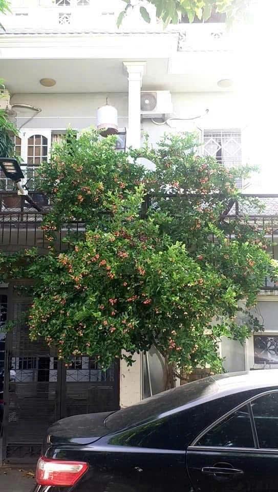 Bán biệt thự siêu đẹp 129 m2, giá 17 tỷ tại Đường 23 - Hiệp Bình Chánh - Thủ Đức - TP Hồ Chí Minh