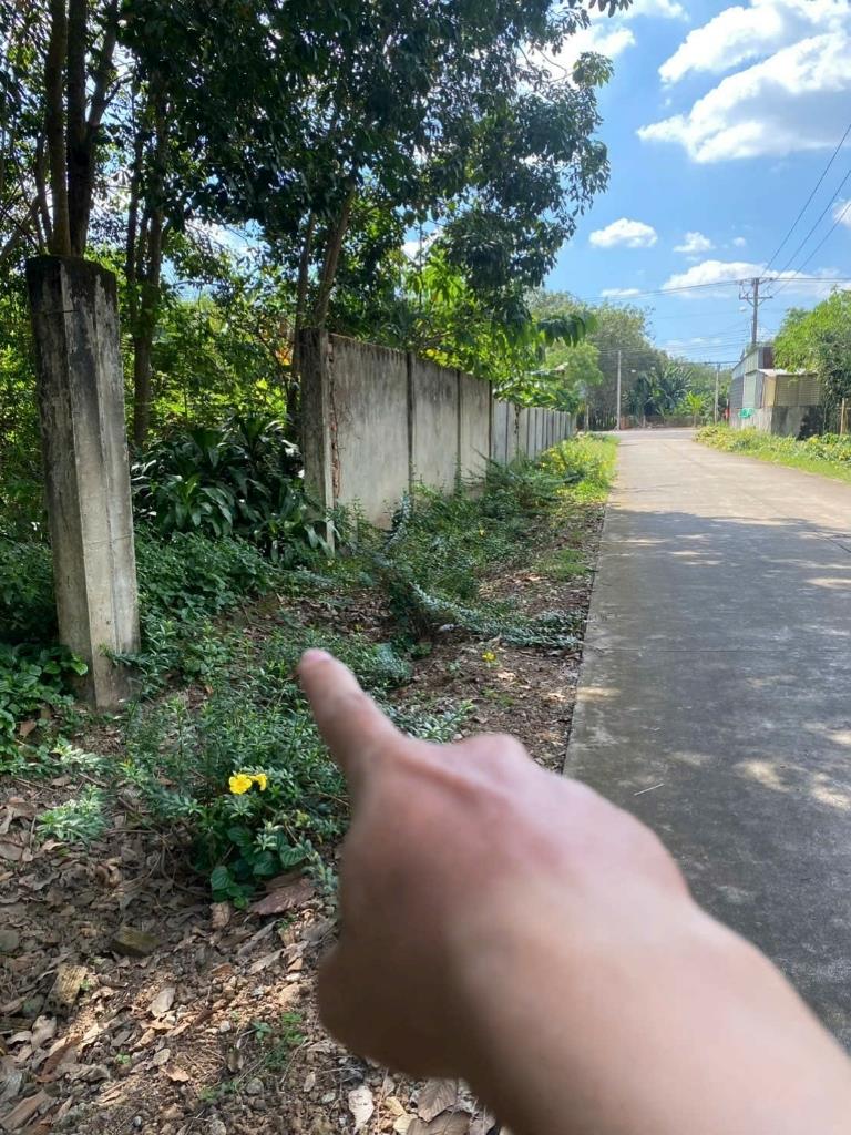 Bán gấp mảnh đất 300 m2 tại Đường DH507 - An Linh - Phú Giáo - Bình Dương, giá 780 triệu