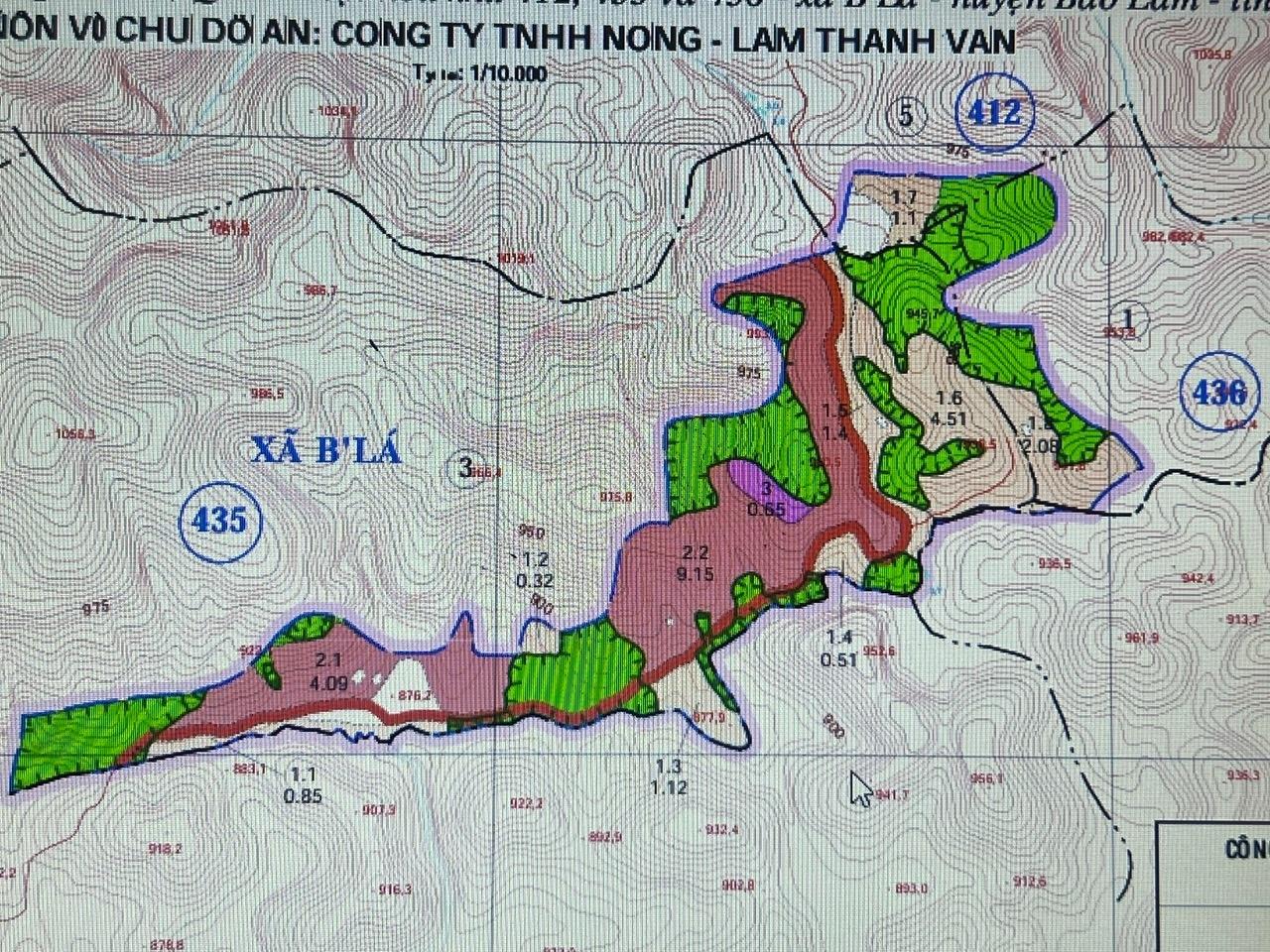 cần cho thuê hoặc hợp tác đầu tư tiếp trên vườn cây