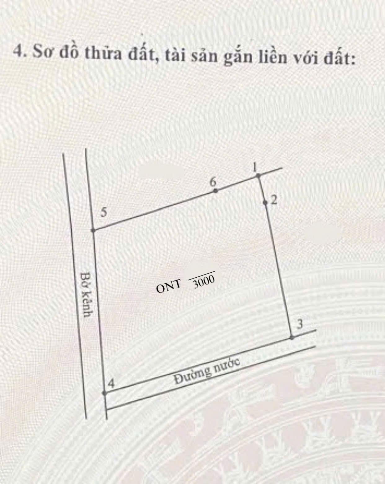 Bán nhanh nền đất 3000 m2 tại Xã Thạnh Trị - Kiến Tường - Long An, giá 6 tỷ