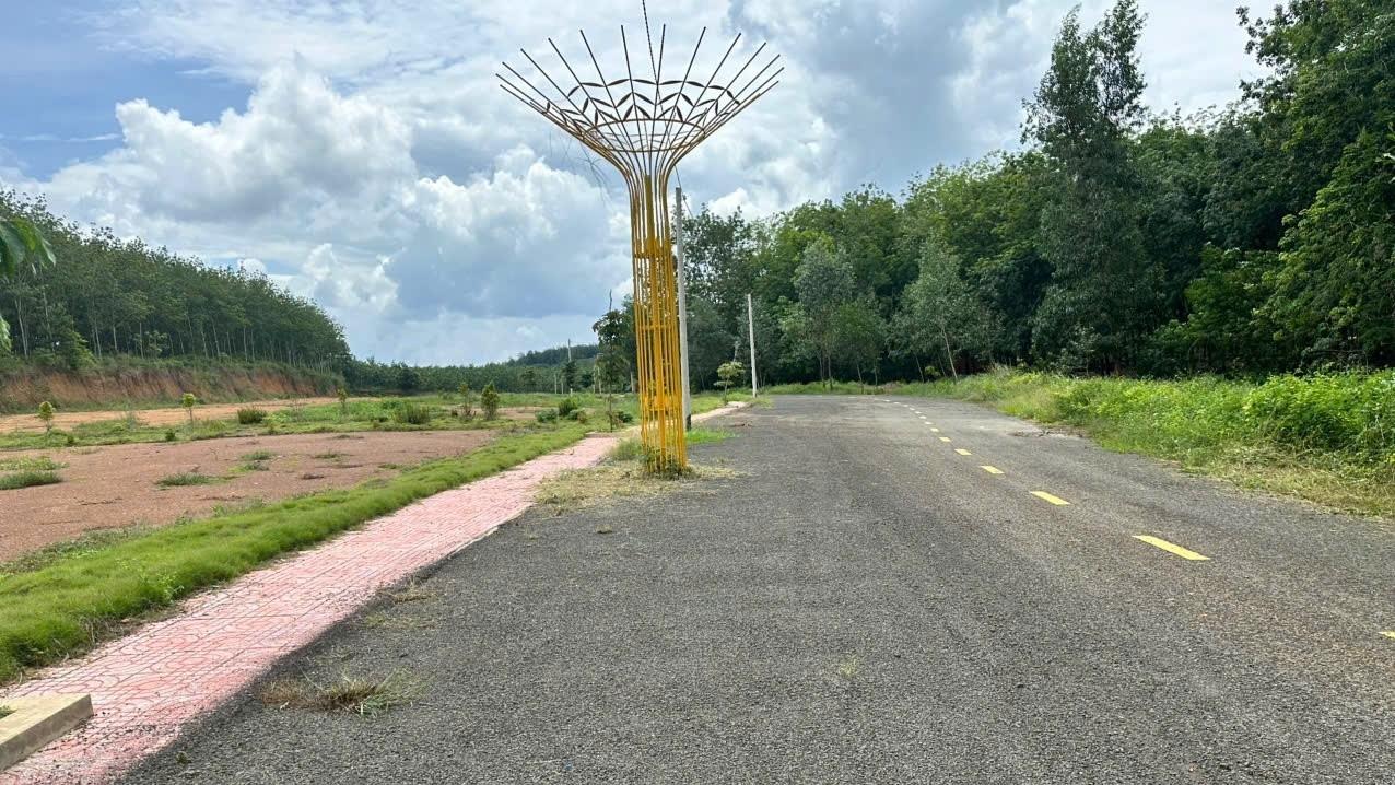 Cần bán ngay miếng đất 250 m2 tại Xã Đồng Tiến - Đồng Phú - Bình Phước, giá 250 tr