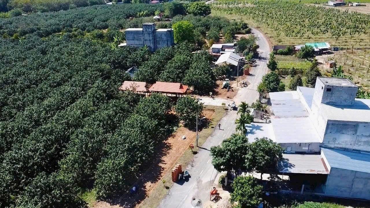 Chuyển nhượng lô đất sổ riêng 2100 m2 tại Xã Trừ Văn Thố - Bàu Bàng - Bình Dương, giá 1,78 tỷ